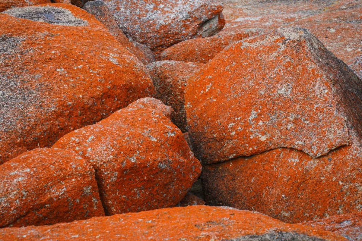 Circuit de 3 jours sur la Côte de Granit Rose : programme détaillé